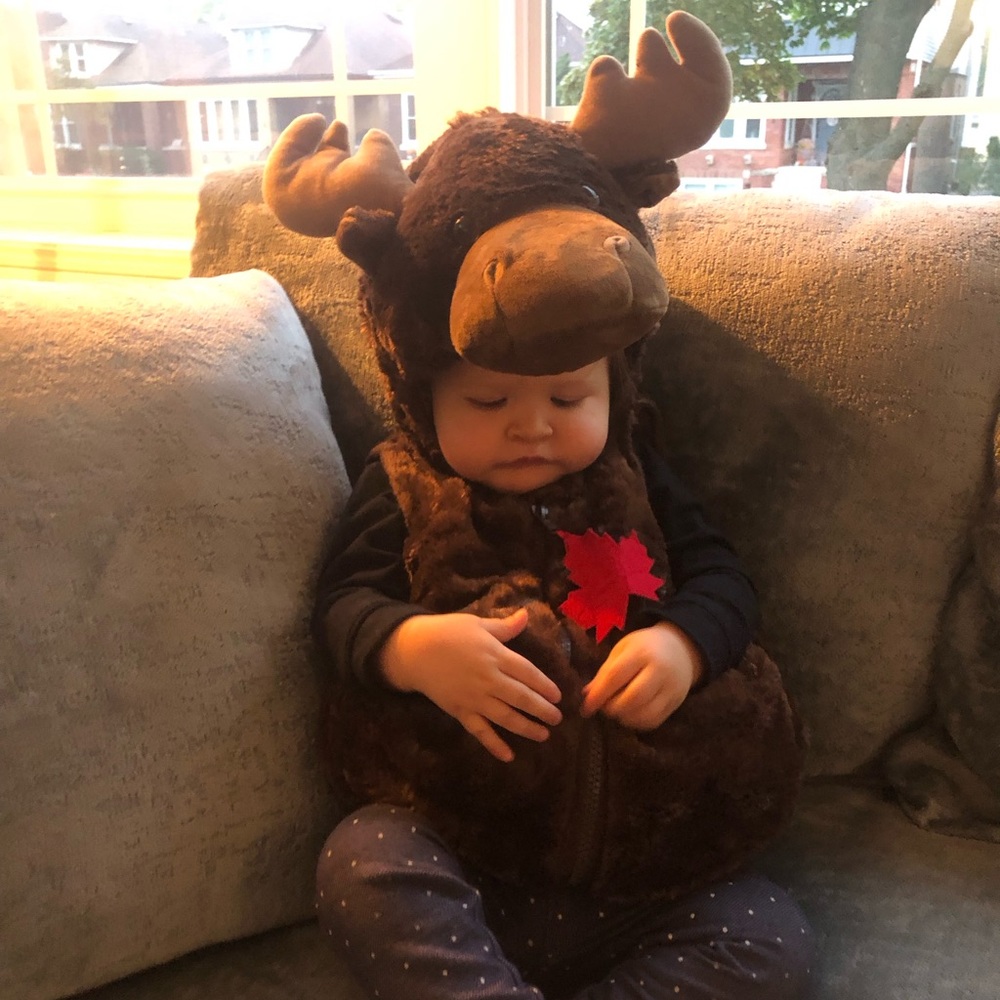 Moose Halloween costume size 12M